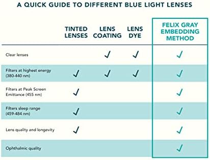 Felix Gray – Hamilton Blue Light Blocking Computer Glasses, Silver - Image 3
