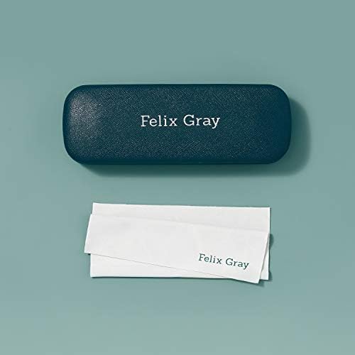 Felix Gray – Hamilton Blue Light Blocking Computer Glasses, Silver - Image 6